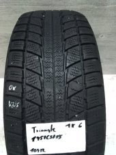 Triangle Snow Lion 195/65/15 91T